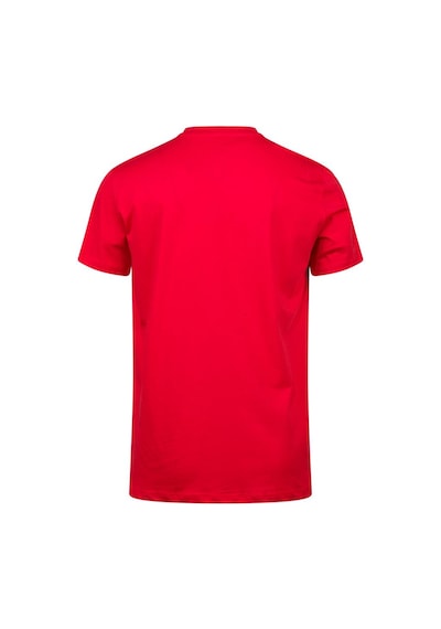 2as Alex Baskılı Erkek Sıfır Yaka T-shirt 042 Kırmızı