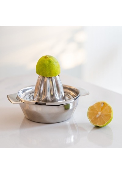 Akayev Çelik Limon Sıkacağı Gri
