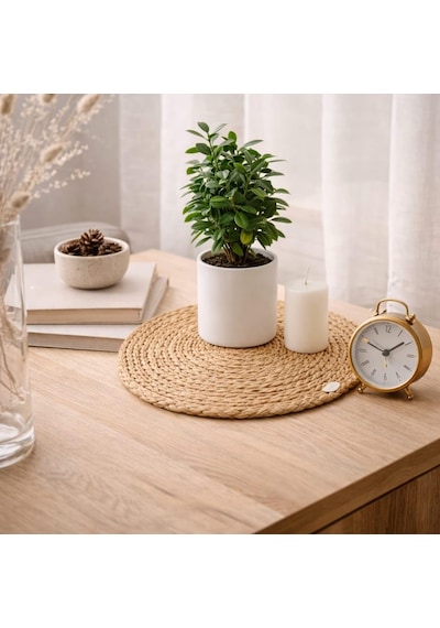Ayrex Doğal Hasır Suple 4'lü Set Yuvarlak Amerikan Servis, El Yapımı Hasır Placemats, Kaymaz Dayanıklı Masa Altl Diğer