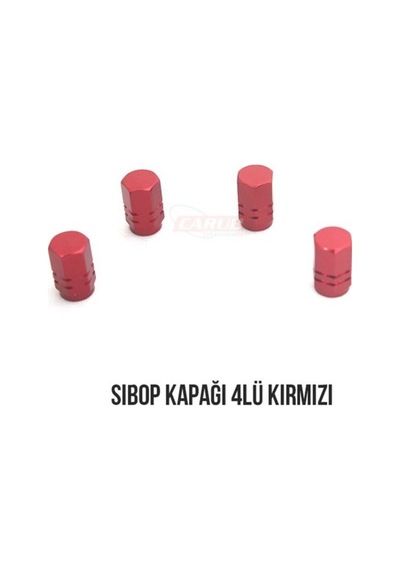 Sibop Kapağı Nikel Kırmızı Mavi Lastik Valf Kapağı Onkar Otk-24431
