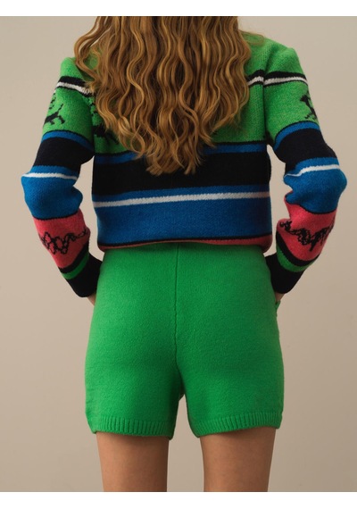Xint Yeşil Regular Fit Yünlü Triko Şort 850944