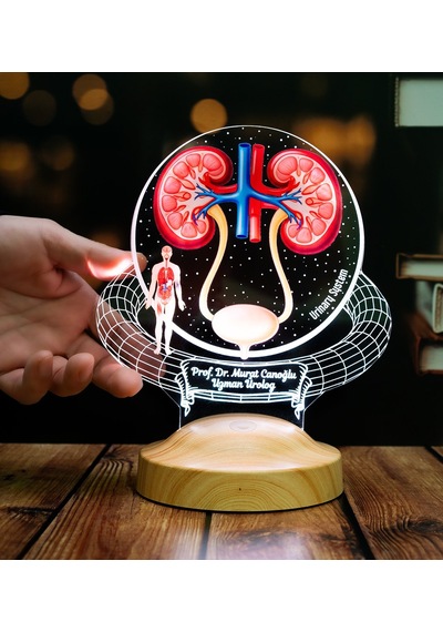 Üroloji Uzmanına Hediye Kişiye Özel Ürolog Doktor Led Lamba, Böbrek & Üriner Sistem Tasarımlı Tıp Hediyesi