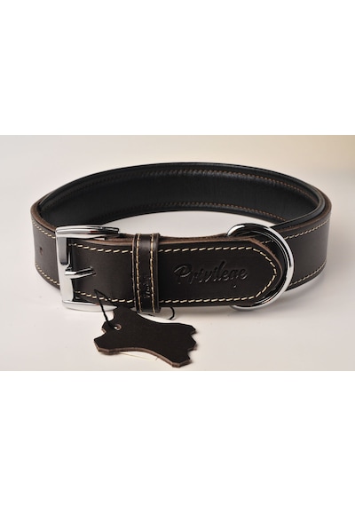 Privilege Hakiki Deri Köpek Boyun Tasması S Kahverengi 2.5 x 32-41 CM Kahverengi