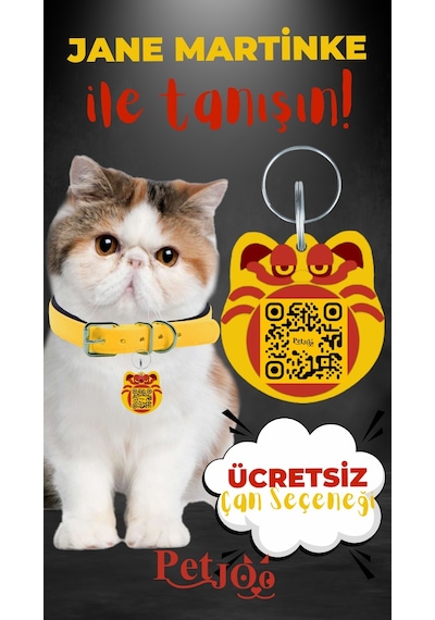 Petjoo 5.Jane Martinke Kırmızı-Sarı Qr'lı Kedi Künyesi