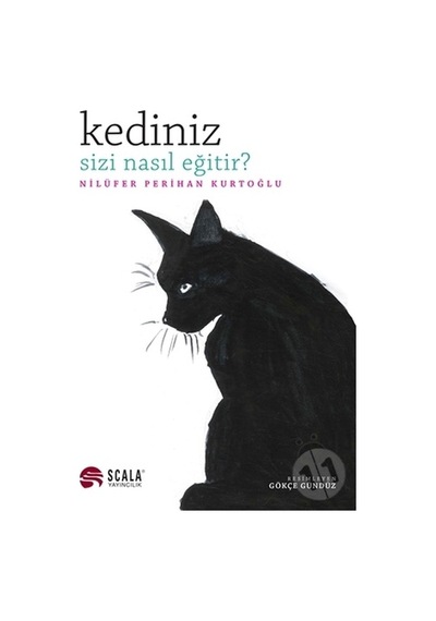 Kediniz Sizi Nasıl Eğitir?