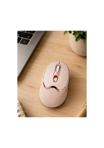 Şarjlı Kablosuz Mouse Sessiz Tıklama Bluetooth Ve Usb Destekli Renk Diğer