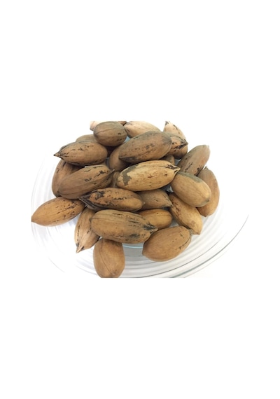 Pikan Cevizi 3 KG