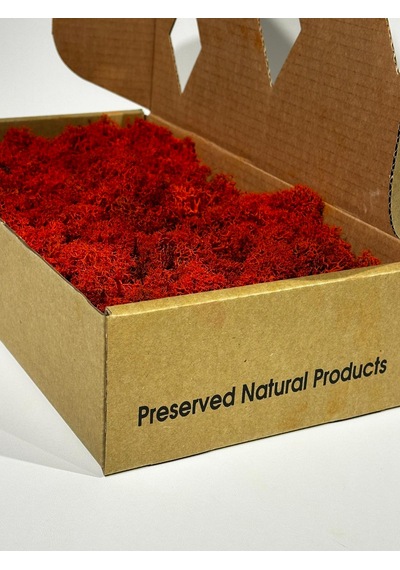 Reindermoss Şoklanmış Norveç Yosunu Terarium Yosunu Kırmızı 500 Gr.