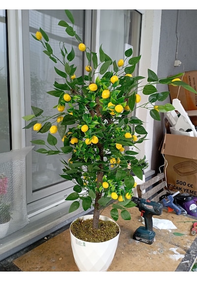 Limon Ağacı Yeşil Yapraklı Doğal Görünümlü Yapay Ağaç 100 Cm Beyaz