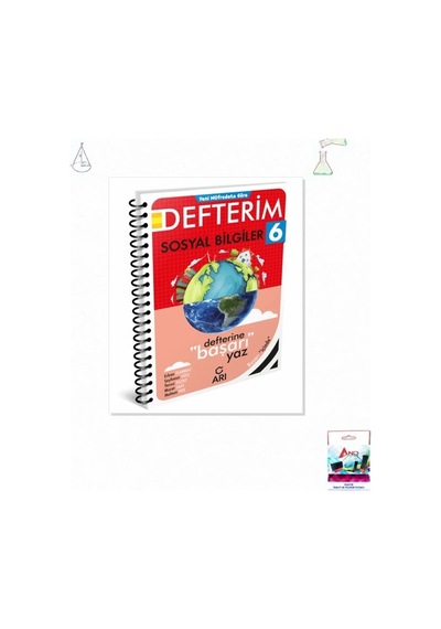 Arı 6. Sınıf Sosyal Bilgiler Defterim