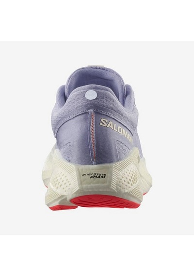 Salomon Salomon Aero Glide 3 Kadın Yol Koşusu Ayakkabısı 5886 Çok Renkli