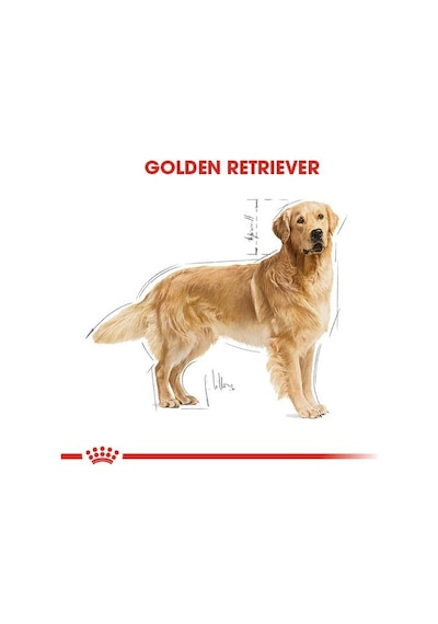 Royal Canin Golden Retriever Yetişkin Köpek Maması 12 KG