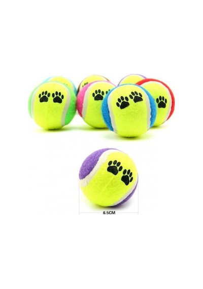 At Getir Köpek Eğitim Topu 5705
