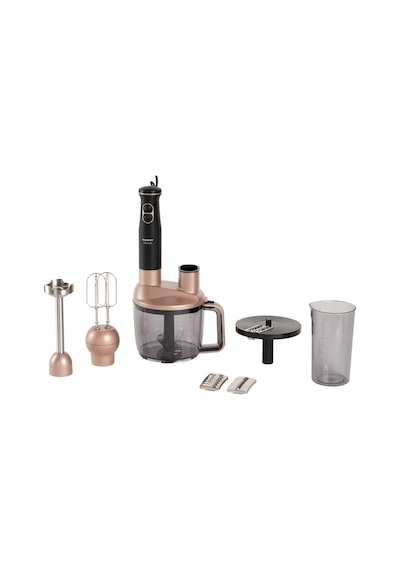 Sunny Sn5 Bld 34 Rose Gold Melodi Mega Blender Seti
