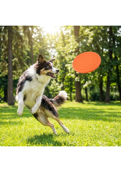 Runaway Silikon Köpek Frizbisi Ve Taşınabilir Su Kabı