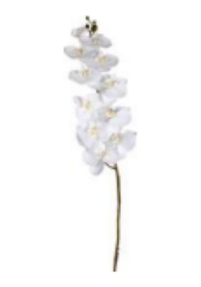 Yapay Çiçek Orkide Beyaz 115 Cm. Çok Renkli