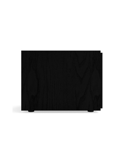 R-101sw Subwoofer - 10 İnç Yüksek Verimli Subwoofer Sürücü, Dahili Dijital Amfi, Düşük Frekanslarda Derin, Güçlü Ve Hassas Bas Sesleri, 300 Watt Güç Çıkışı, Siyah