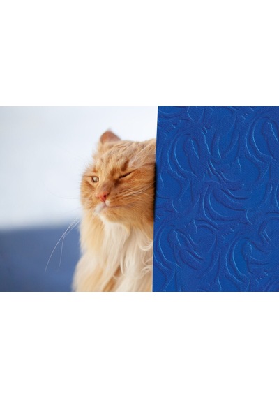 Tink 3d Kendinden Yapışkanlı Akustik Keçe Panel Modern Desenli 52x98 Cm 2 Adet 1 M² Mavi