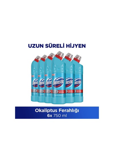 Domestos Çamaşır Suyu Yoğun Kıvamlı Okaliptus Ferahlığı 750 Ml X6 Diğer