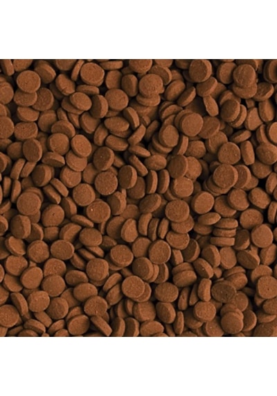 Tropical Carnivore 100 Gram Balık Yemi