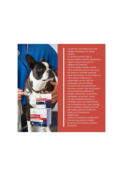 Cardiovital Kedi Ve Köpekler Için Desteği Lezzetli 60 Tablet