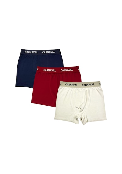 Carnaval Socks Carnaval Core Line Erkek Boxer 3 Lü Set Çoklu