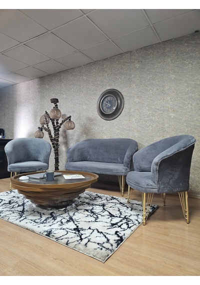 Zafir Teddy Takım Gold Kaplama Telli Ayak Çay Seti Koltuk - Berjer , Balkon, Salon, Ofis Gri Zafir Teddy Takım Gold Kaplama Telli Ayak Çay Seti Koltuk - Berjer , Balkon, Salon, Ofis Gri