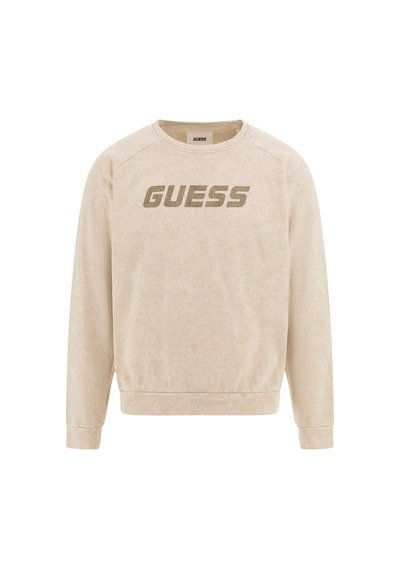 Alioth Erkek Aktif Sweatshirt Bej