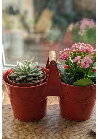 İkiz Saksılık Metal 10 Cm - Dekoratif Çiçeklik Kova Ve Çok Amaçlı Düzenleyici Kırmızı