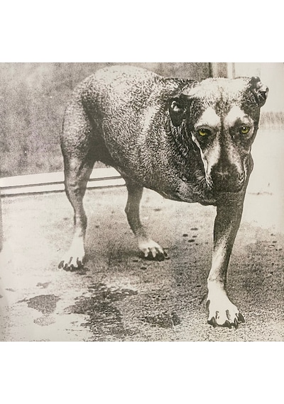 Alice İn Chains - Alice In Chains , 2xlp Sarı Plaklar Nu Metal