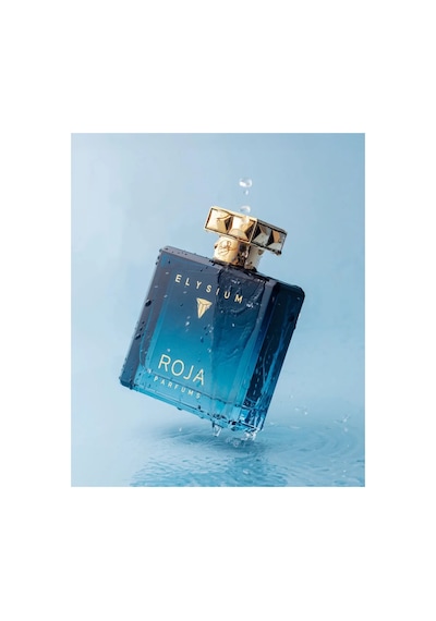 Roja Elysium Pour Homme Edp 100ml Diğer