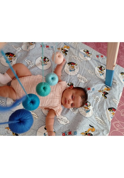 Montessori Gobbi Mobil Doğal 5li Renk Tonlu Dönence Bebek Oyuncağ