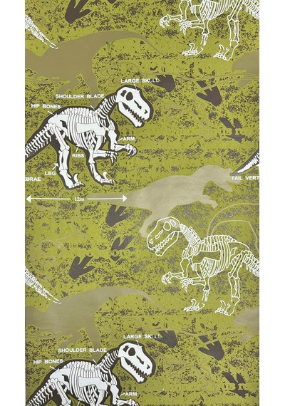 Yeşil Dinozor Desenli Dokulu Ucuz Çocuk Odası Duvar Kağıdı 53152 Çok Renkli