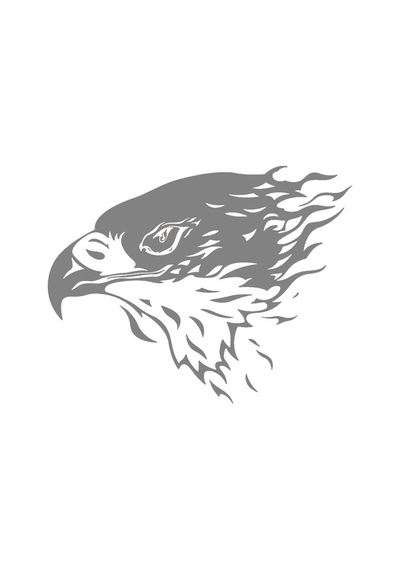 Kartal Araç Ön Kaput Sticker Gri 60 X 42 Cm