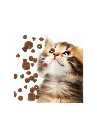 Elite Tavuklu Yavru Kedi Maması 2 Kg, Tavuk