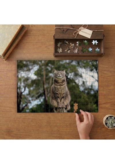Asil Gri Tekir Kedi Tasarımı 240 Parça Ahşap Puzzle Ahşap Kutuda Mpy60161