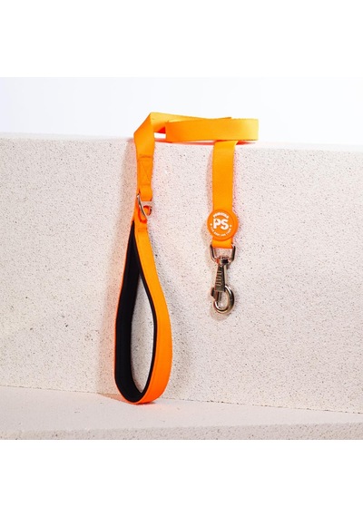 Pawstar Neon Turuncu Leash Kedi Köpek Sevk & Gezdirme Kayışı Köpek Uzatma Tasması Turuncu
