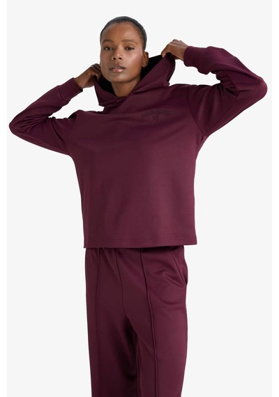 Defacto Defactofit Standart Fit Kapüşonlu Baskılı Sporcu Sweatshirt F1690ax25wnbr171 Bordo
