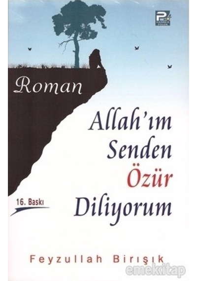 Allah'Im Senden Özür Diliyorum Feyzullah Birışık