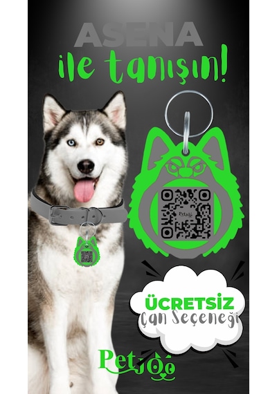 Petjoo 25.Asena Yeşil-Gri Qr'lı Köpek Künyesi