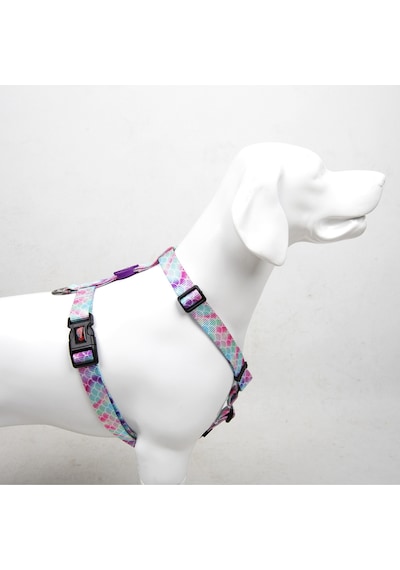 Bubbles H-tipi Göğüs Tasması Ayarlanabilir, Konforlu Ve Dayanıklı Desenli Köpek Tasması L