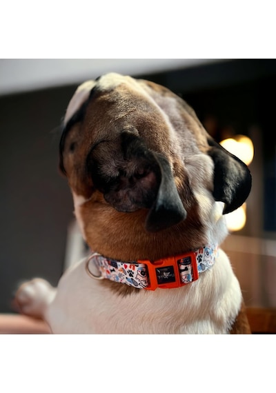 Köpek Boyun Tasması Geri Dönüştürülmüş, Ayarlanabilir, Emniyet Tokalı Küçük Ve Büyük Irklar İçin Tüy Toplamaz, Yıkanabilir, Airtag & İsimlik Uyumlu, Bone Large Çok Renkli