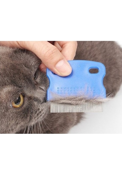 Avuç  İçi Kedi  Köpek Pire Tarağı