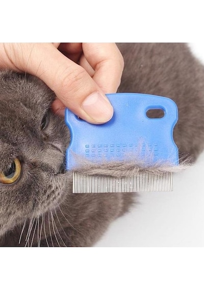 Kedi Köpek Pire Tarağı Çok Renkli
