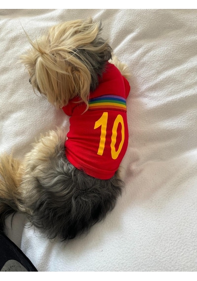 Kemique Uno Red Köpek Tişörtü