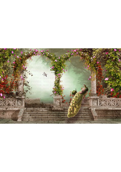 Kemerli Sütünların Arasında Tavus Kuşu Poster Duvar Kağıdı Renkli