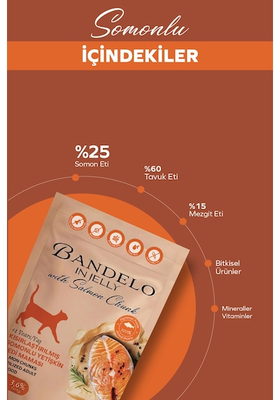 Somonlu Kısırlaştırılmış Yetişkin Kedi Yaş Maması - Jöle İçinde Parça Etli, 85 Gr X 24 Adet