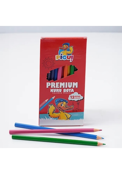 Pigui Kuru Boya Kalemi 12 Renk Pgkb-21 Çok Renkli