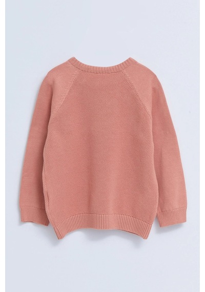 LC Waikiki Lcw Baby Pembe Bisiklet Yaka Kendinden Desenli Erkek Bebek Triko Kazak