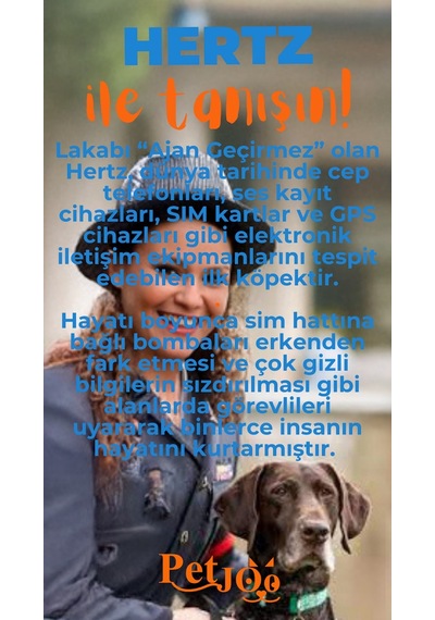 Petjoo 26.Hertz Turuncu-Mavi Qr'lı Köpek Künyesi